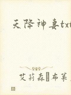 天降神妻txt