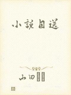 小说目送