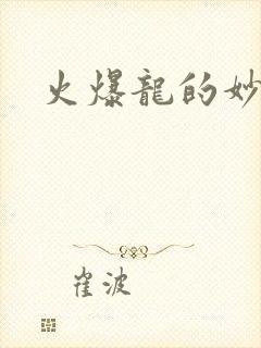 火爆龙的妙管家