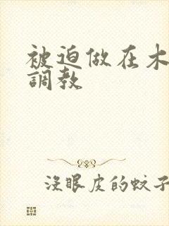 被迫做在木马上调教