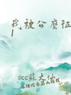 我被公么征服了1