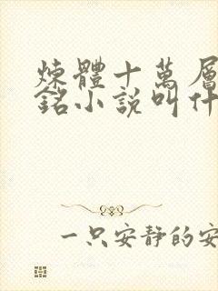 炼体十万层轩辕铭小说叫什么