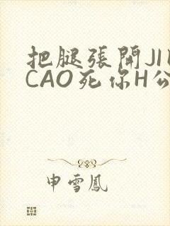 把腿张开JI巴CAO死你H公园