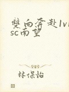 双向奔赴1v1sc南望