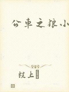 公车之狼小说
