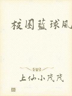 校园蓝球风云