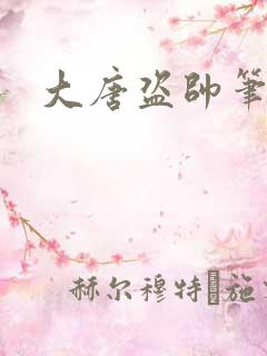 大唐盗帅笔趣阁