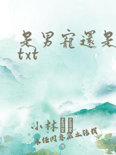 是男宠还是禁脔txt