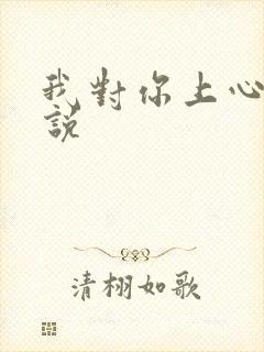 我对你上心了小说