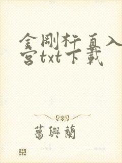 金刚杵直入莲花宫txt下载