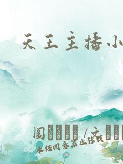 天王主播小说