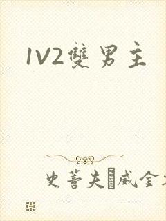 1V2双男主
