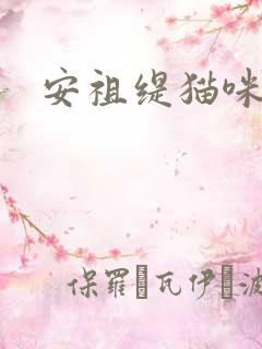 安祖缇猫咪抱抱