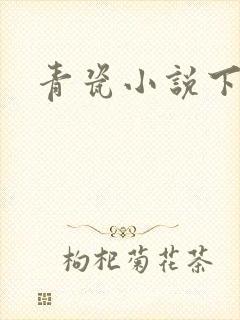 青瓷小说下载