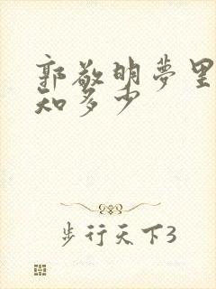 郭敬明梦里花落知多少