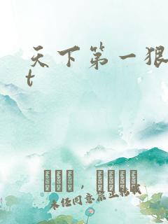 天下第一狠txt