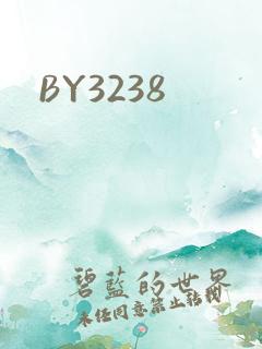 BY3238