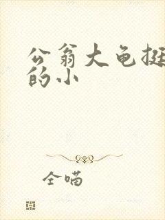公翁大龟挺进我的小