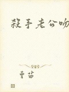 杀手老公吻上瘾