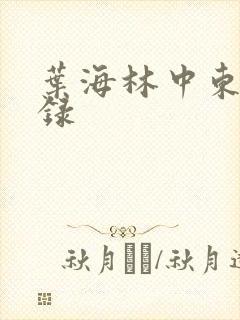 叶海林中东风云录