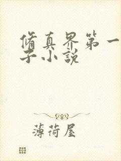 修真界第一病秧子小说