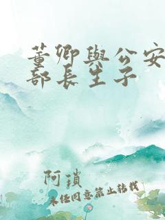 董卿与公安部副部长生子