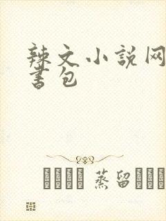 辣文小说网第二书包