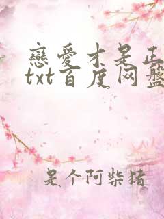 恋爱才是正经事txt百度网盘