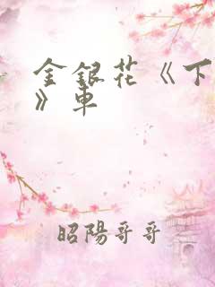 金银花《下厨房》车