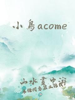 小鸟acome