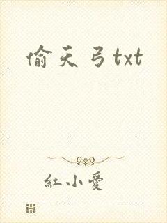 偷天弓txt