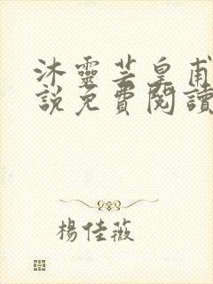 沐灵芸皇甫霆小说免费阅读