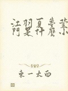 江羽夏梦莹神谕门是什么小说