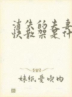 消失的夫妻女主快散架是什么意思