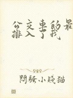 公交车的最后一排入了我