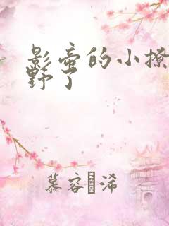 影帝的小撩精太野了