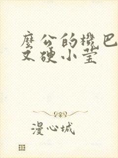 么公的机巴又粗又硬小莹