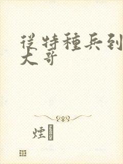 从特种兵到黑道大哥