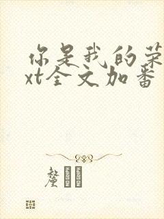 你是我的荣耀txt全文加番外