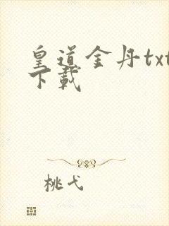 皇道金丹txt下载