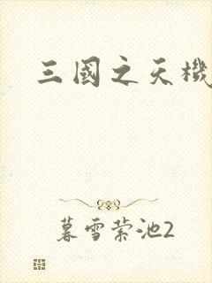 三国之天机军师