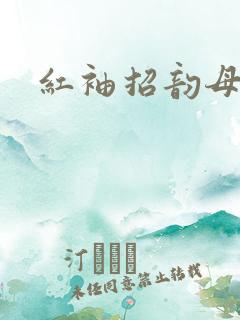 红袖招韵母攻略