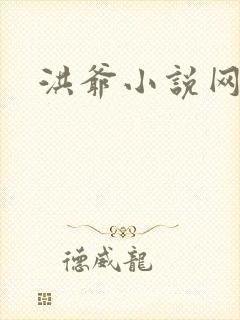 洪爷小说网