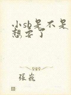小sb是不是又想要了