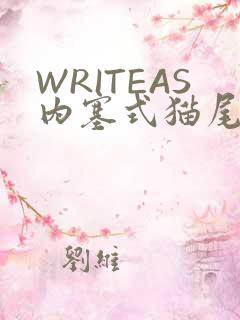 WRITEAS内塞式猫尾