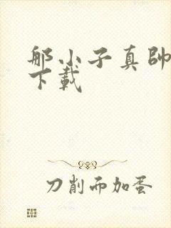 那小子真帅小说下载