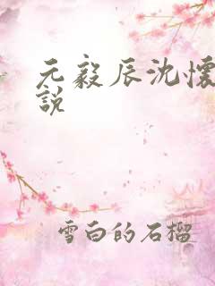 元毅辰沈怀妆小说