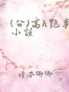 (公)高h艳事小说