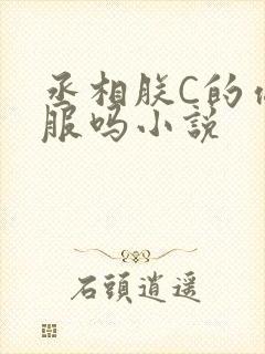 丞相朕C的你舒服吗小说