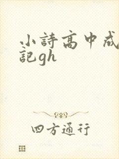 小诗高中成长日记gh